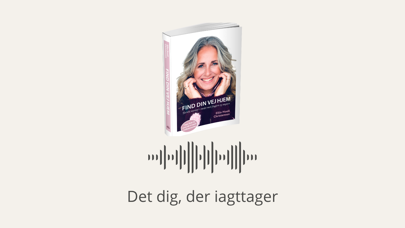 Det dig, der iagttager